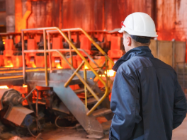 体験プログラムの画像